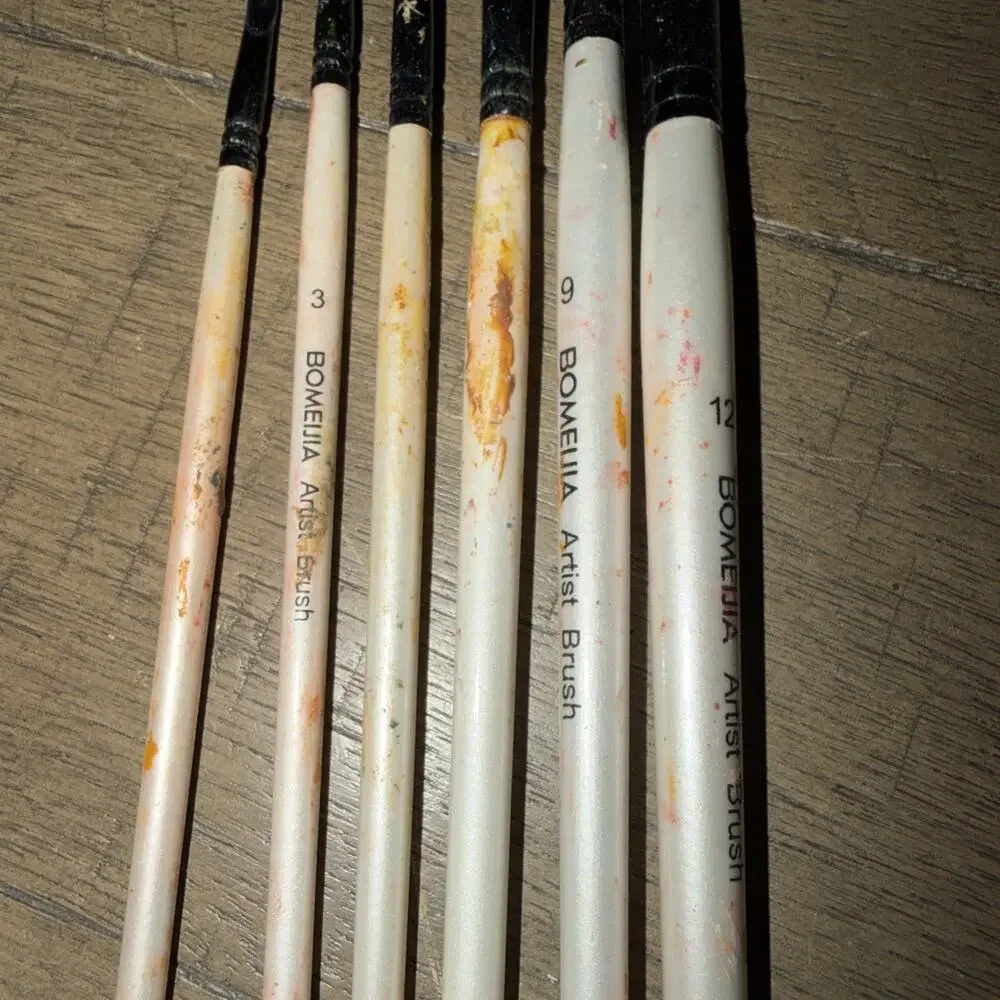 Bomeija Professional Watercolor Paint Brush Set 6 Pcs Slant Flat Well Loved Used